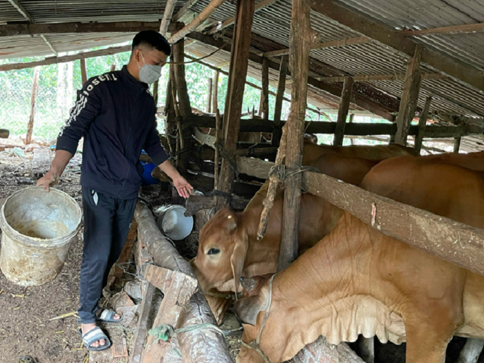 Thanh niên Nguyễn Thành Lâm năng động, nhiệt huyết làm kinh tế giỏi.